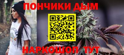 гидра Моздок