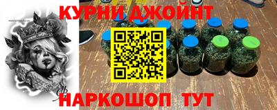 гидра Моздок