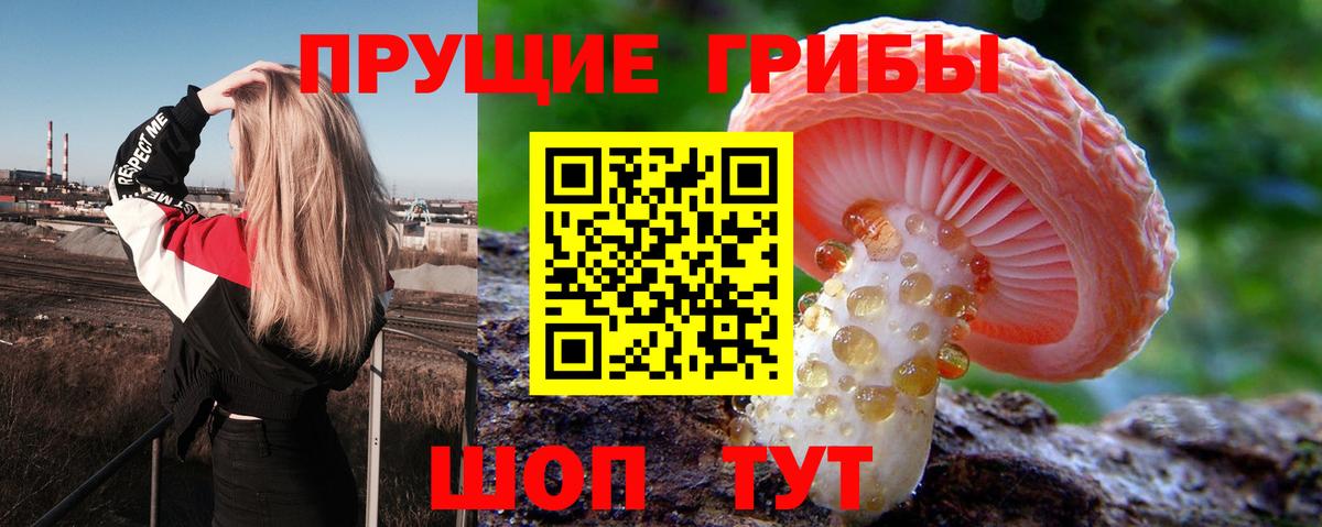 Гуково  Галлюциногенные грибы Psilocybe  Галлюциногенные грибы Psilocybine cubensis  Вход с VPN 