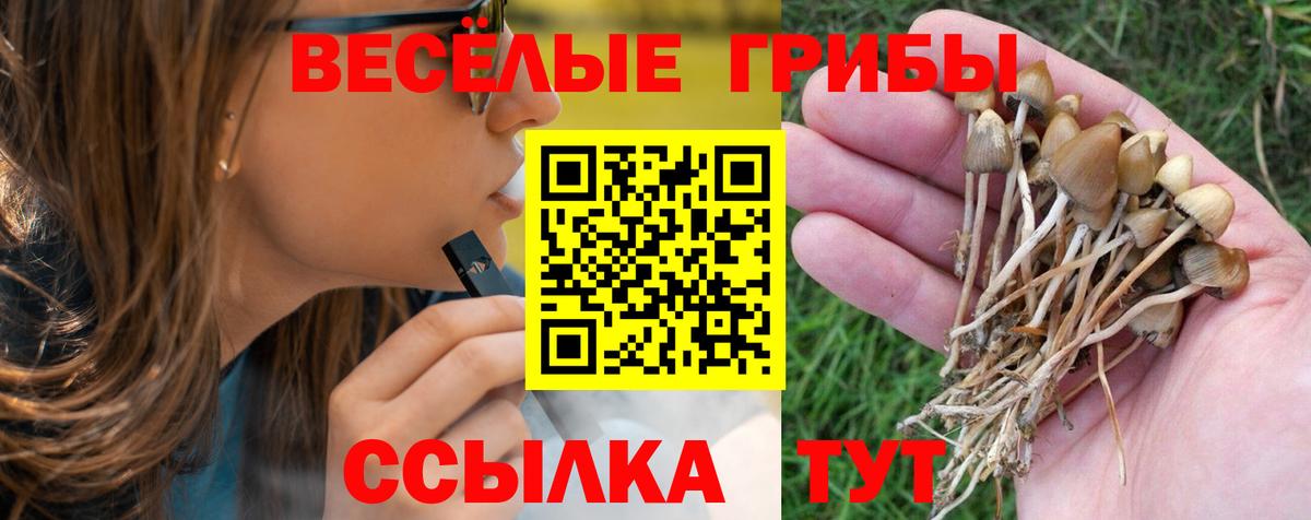 Галлюциногенные грибы прущие грибы Гуково
